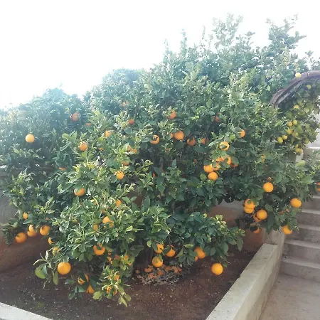 Mirela & Feri Apartament *