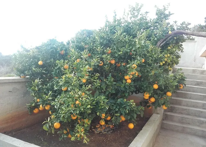 Mirela & Feri Apartamento *