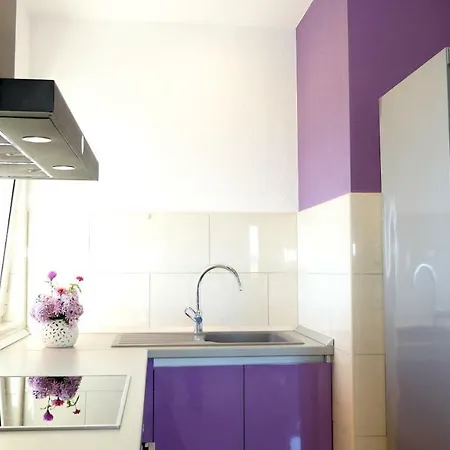 Mirela & Feri Apartment *